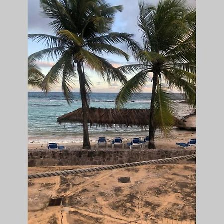 圣弗朗索瓦Le Ti Cocotiers T3 En Rdc Meuble公寓 外观 照片
